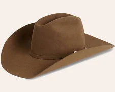 Brown felt cowboy hat with curved brim on a light background
