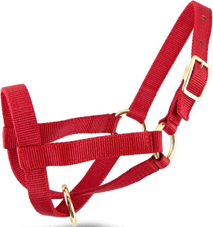 GOAT HALTER BILLY RED
