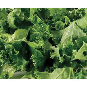 cabbage-related plant that will persist 