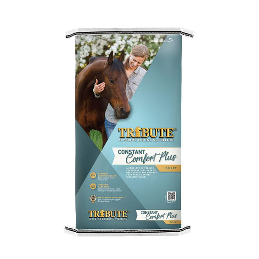 Constant Comfort® Plus (40LBS)