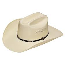 Twister Mens 8X Shantung Western Cowboy Hat T7153848